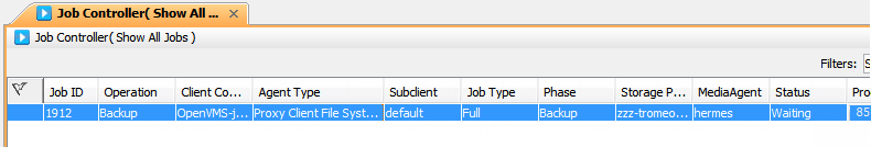 Backup - OpenVMS File System iDataAgent