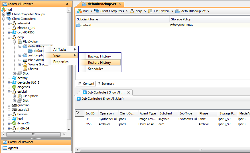Idataagent Restore - Mac File System iDataAgent