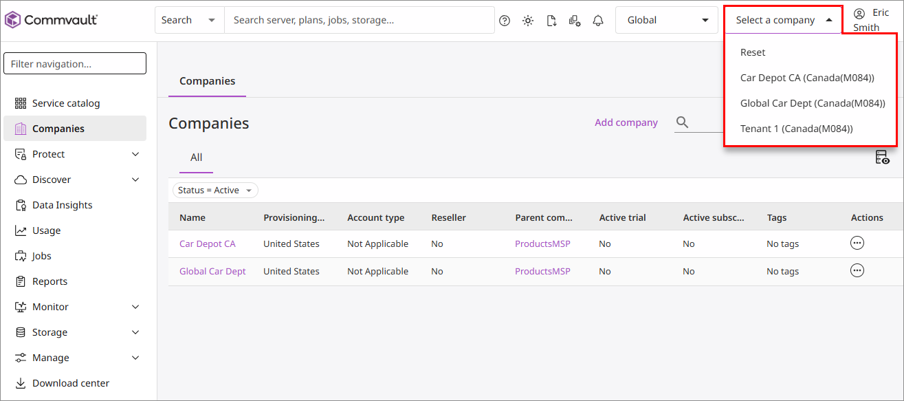 Viewing a Company CommCell Environment