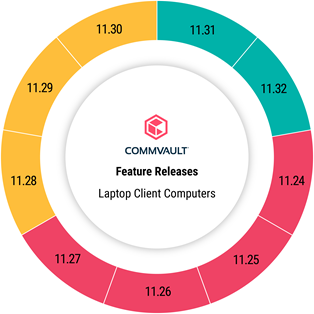 laptop_client_computer_status_for_feature_release