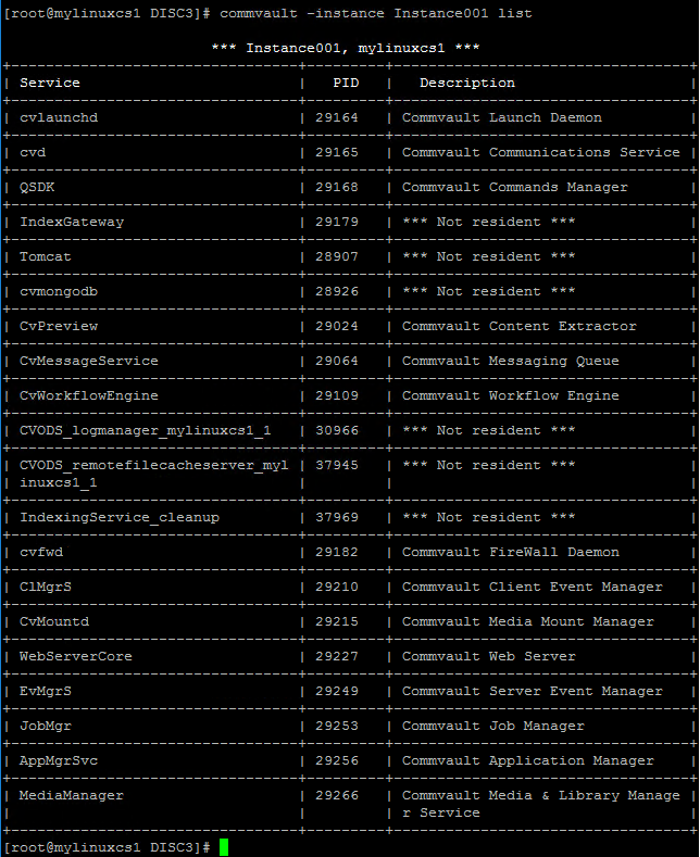 Services on Instance1 on Production CS (1)